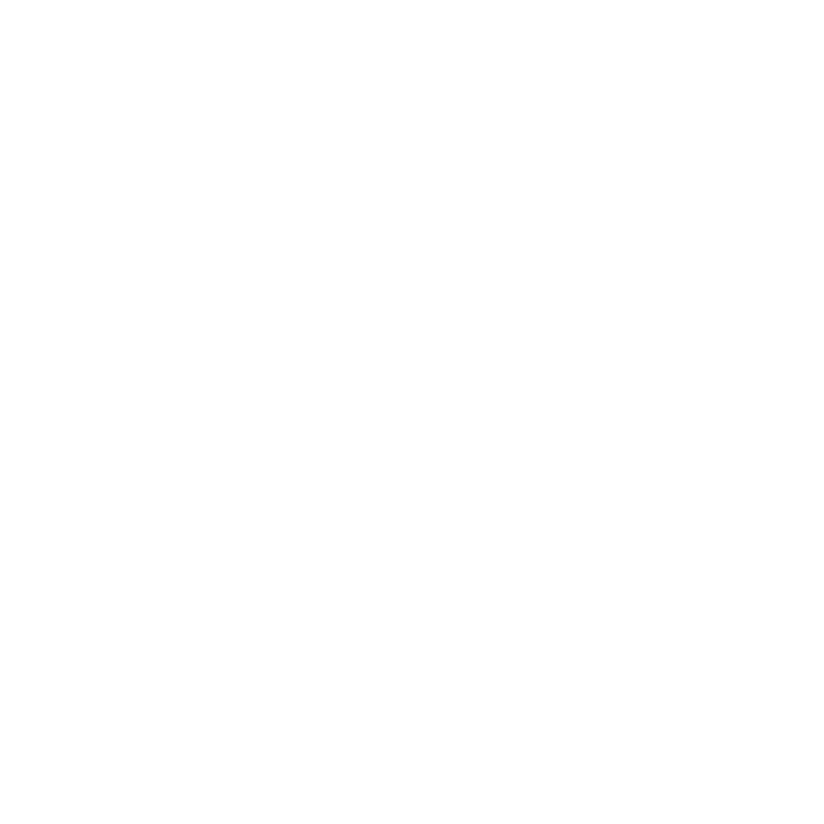 Brandify Agency
